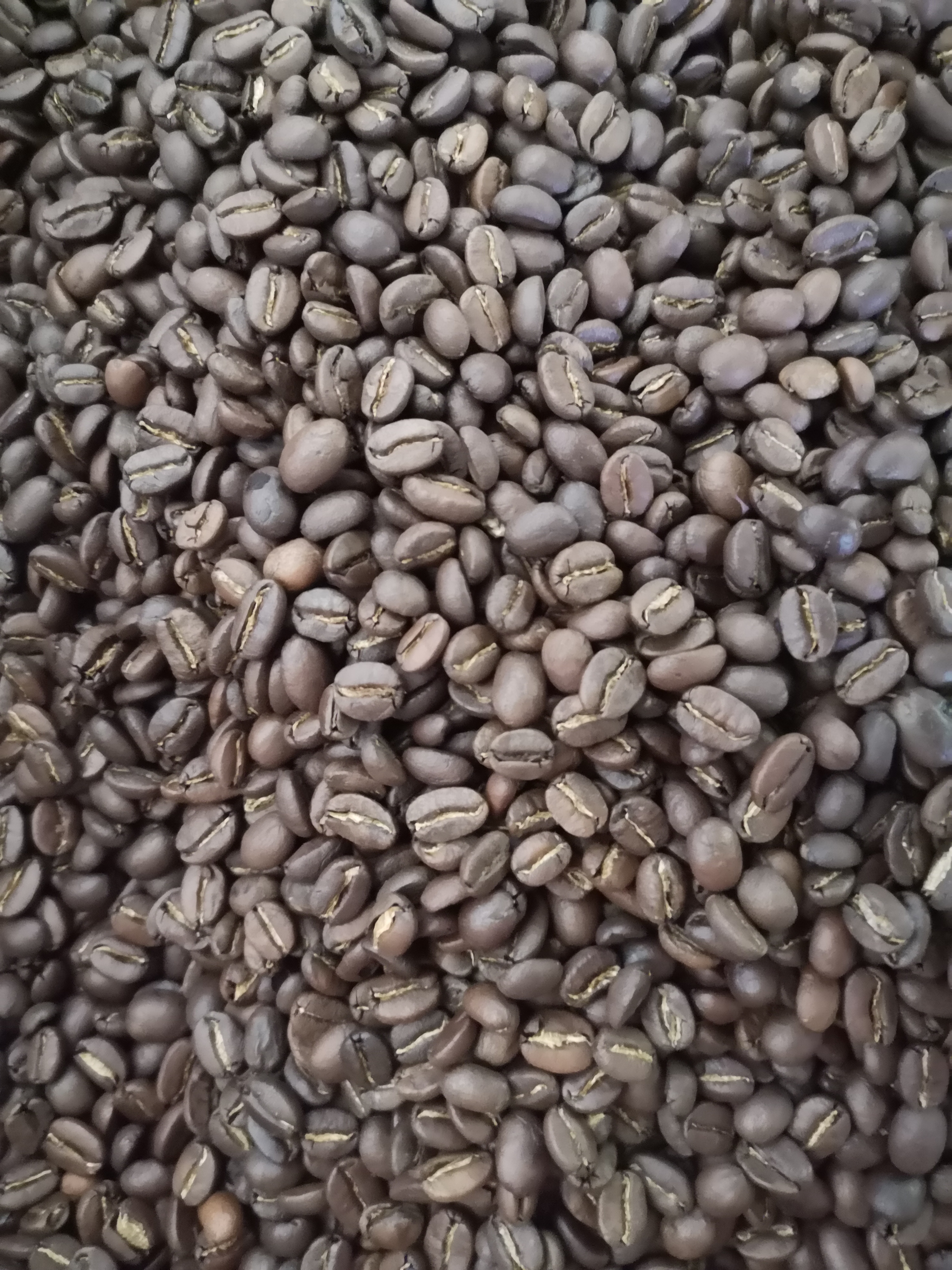 Arabica coffee beans