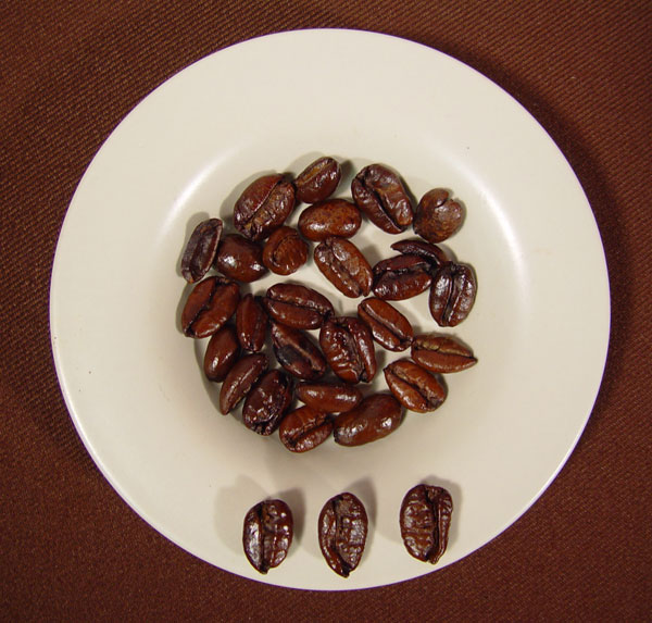 liberica coffee beans